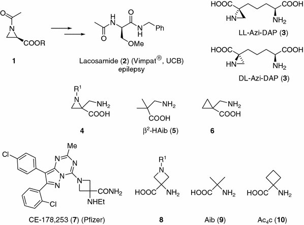 Synthesis of new functionalized aziridine-2- and azetidine-3-carboxylic ...