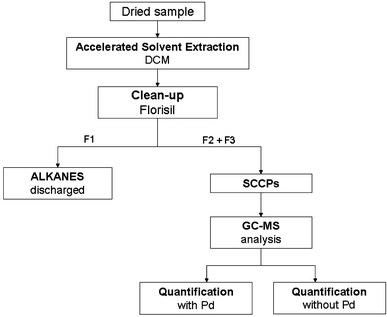 Pm Ase Organization Chart