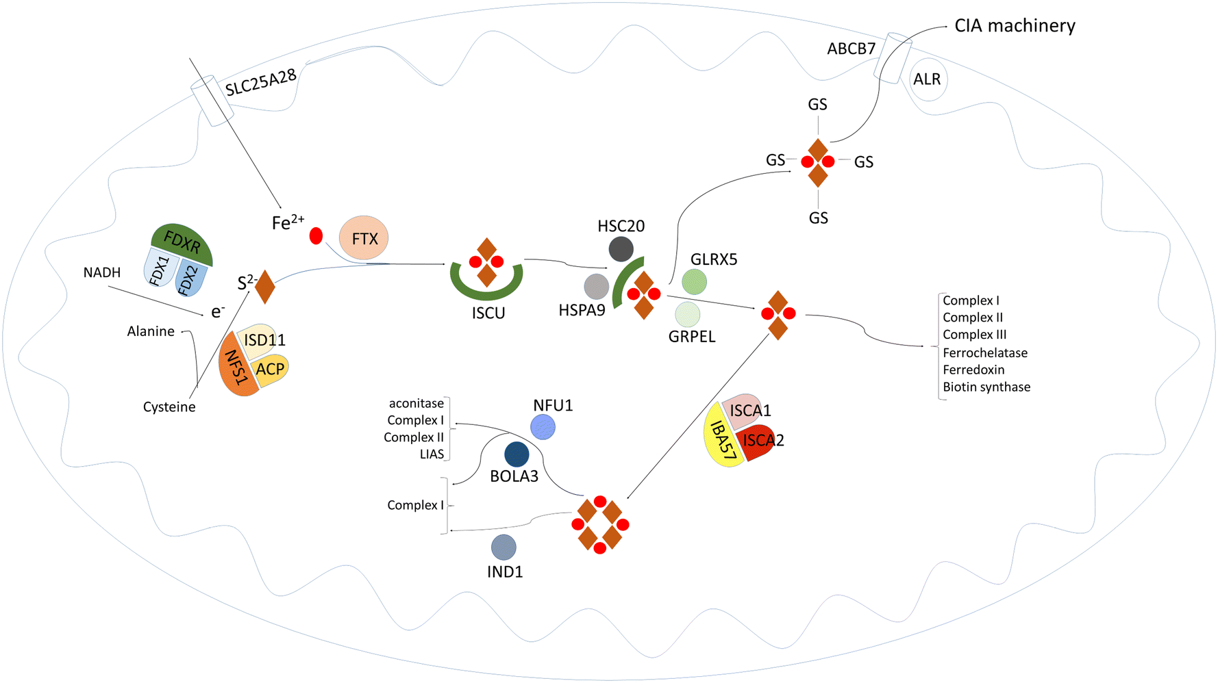 Synthesis example image