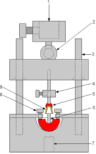 fig behavior crown systems wear double different