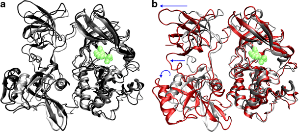 Effect Of The Sh3 Sh2 Domain Linker Sequence On The Structure Of Hck Kinase Springerlink