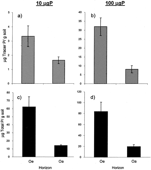 Biological And Geochemical Sinks For Phosphorus In Soil From