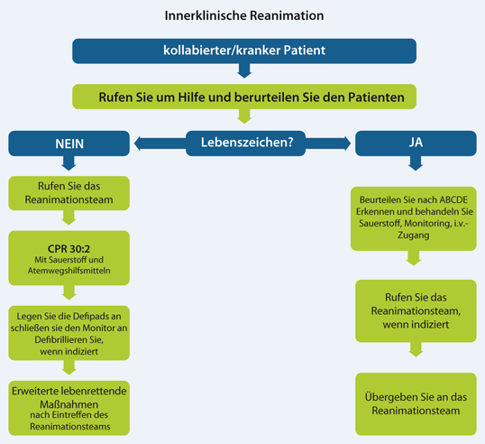 Kurzdarstellung Springerlink