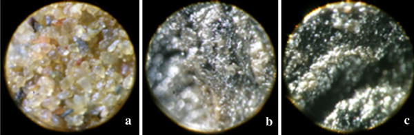 hydrocarbon contamination of coastal sediments
