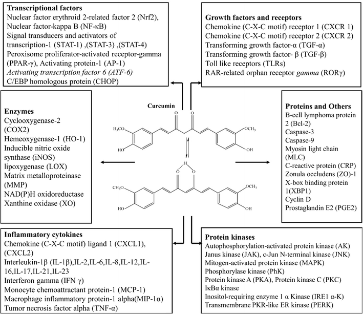 Therapeutic potential of curcumin for multiple sclerosis SpringerLink