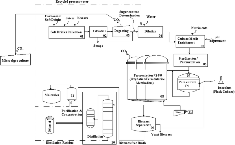 Coca Cola Process Flow Chart