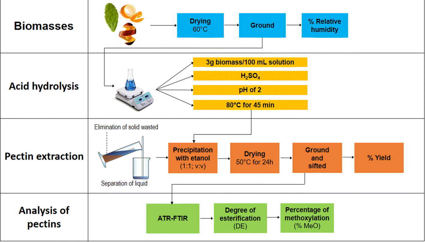 High and low esterification degree pectins by hydrolysis