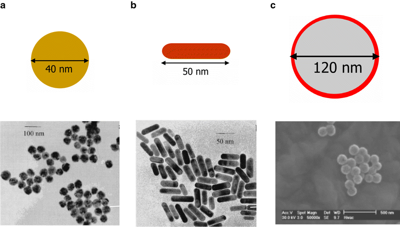 Plasmonic photothermal therapy (PPTT) using gold nanoparticles
