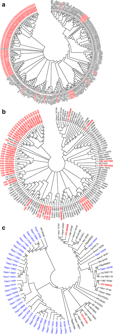 Expression Characterization Of Stress Genes Under High And