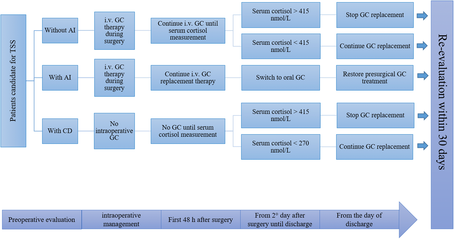 Perioperative Multidisciplinary Management Of Endoscopic - 