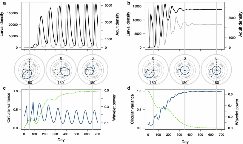 Developmental synchrony in multivoltine insects: generation separation ...