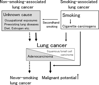 Image result for lung cancer in non smokers