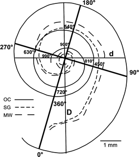 Image Result For Cochlear Frequency Map Image Result For Cochlear Frequency Map