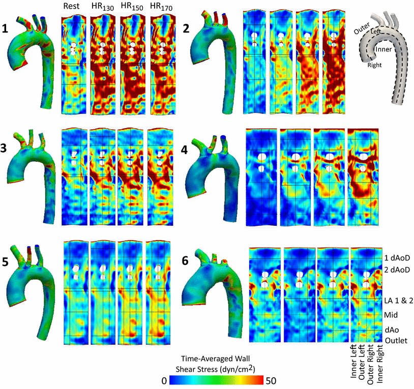 toward translating near infrared spectroscopy oxygen saturation data open image in new window