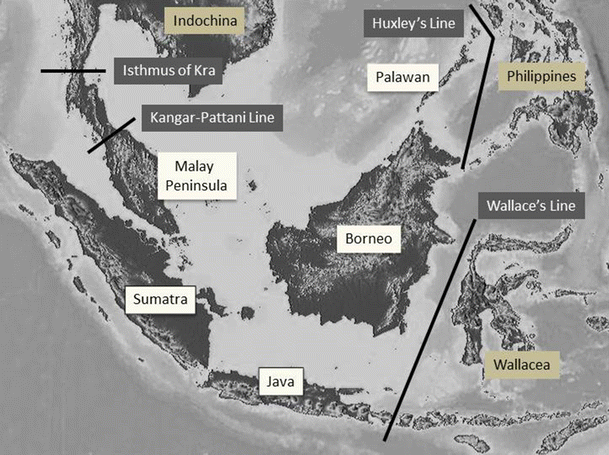 Return To The Malay Archipelago The Biogeography Of Sundaic - 