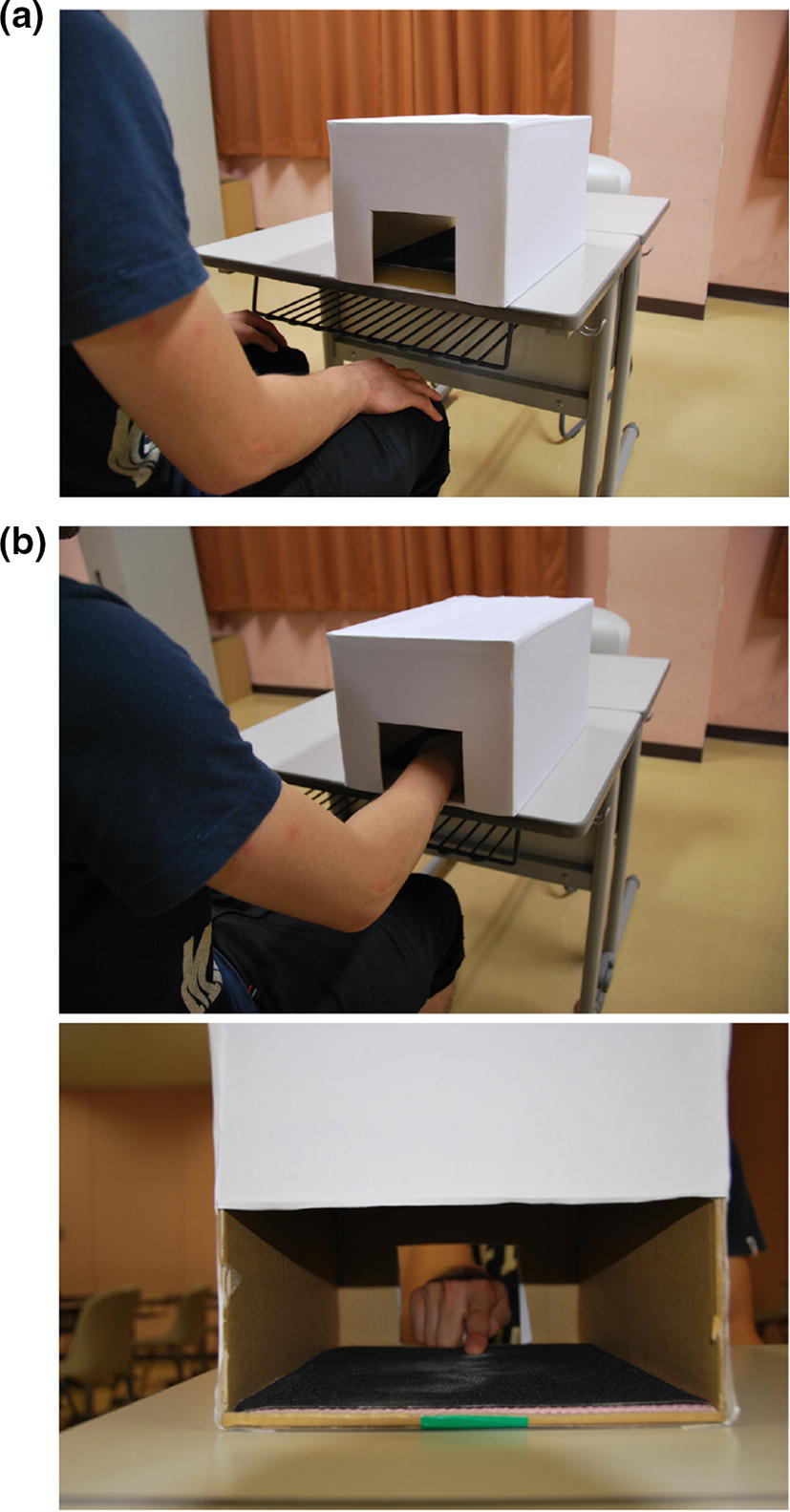 Representations Of Microgeometric Tactile Information During