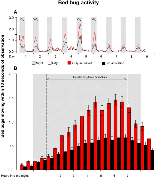 Bed Bug Population Growth Chart