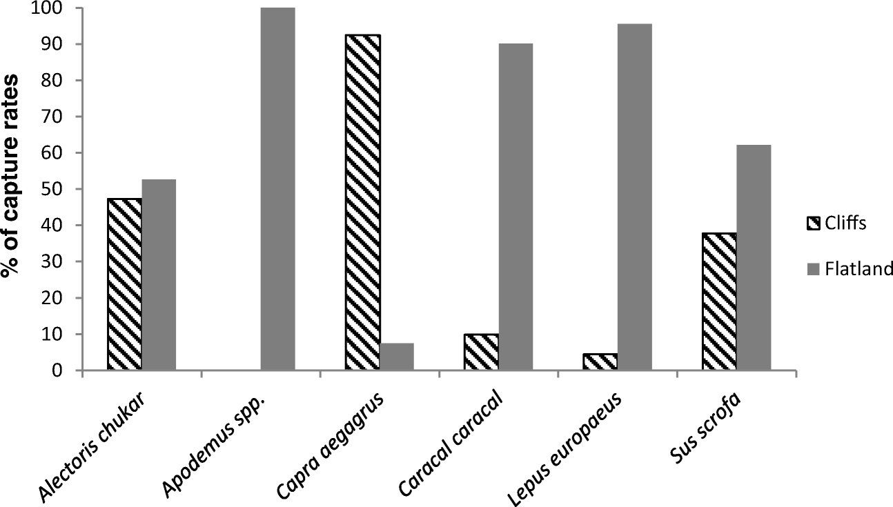 Assessing Caracal Prey Interactions By Spatial And Temporal