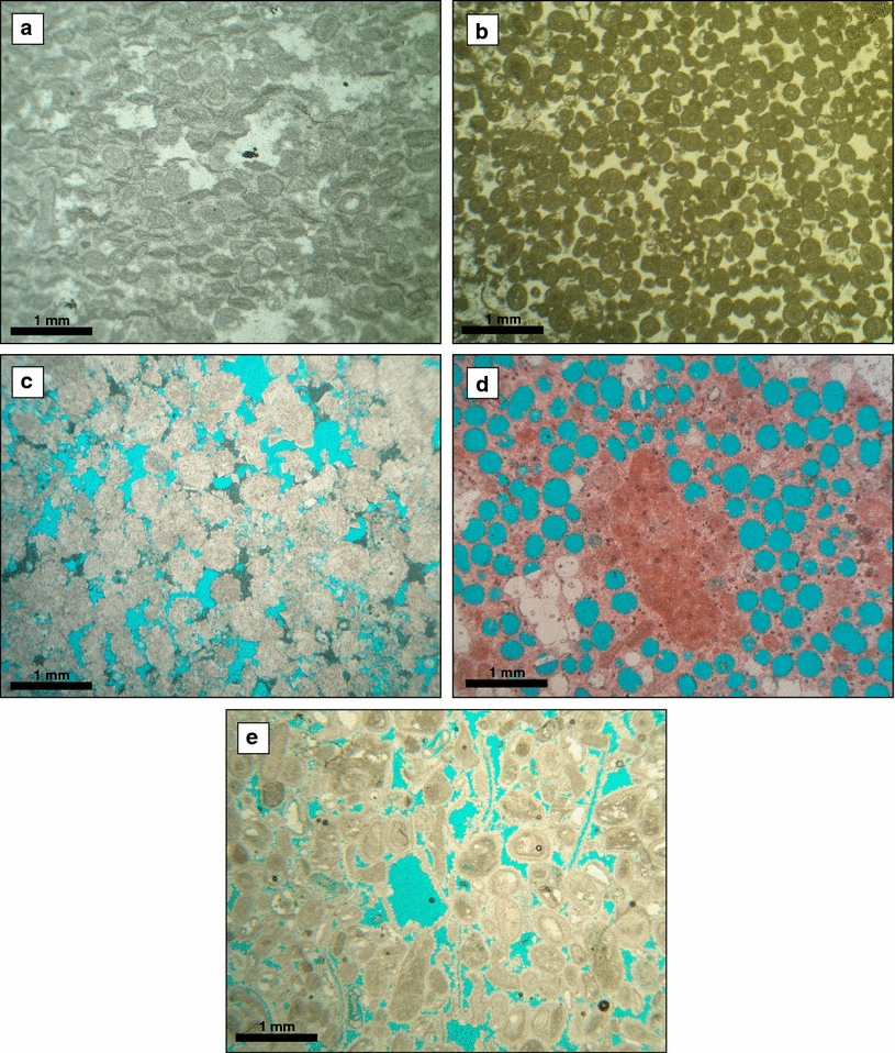 oolite depositional environment oolite depositional environment