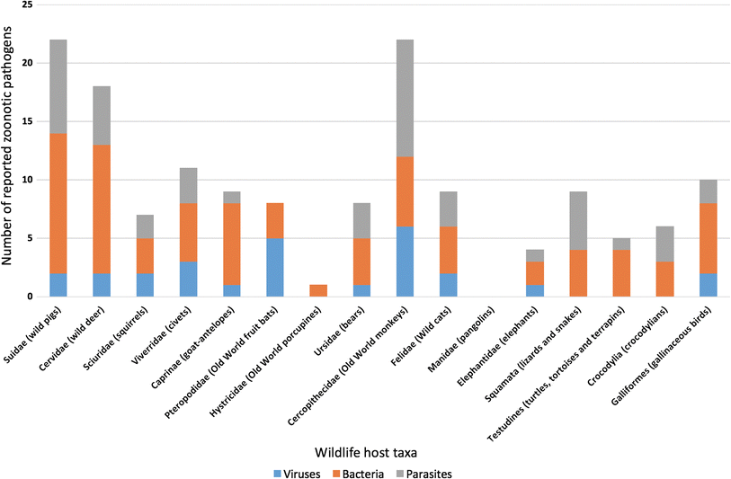 A Review Of Zoonotic Infection Risks Associated With The - 