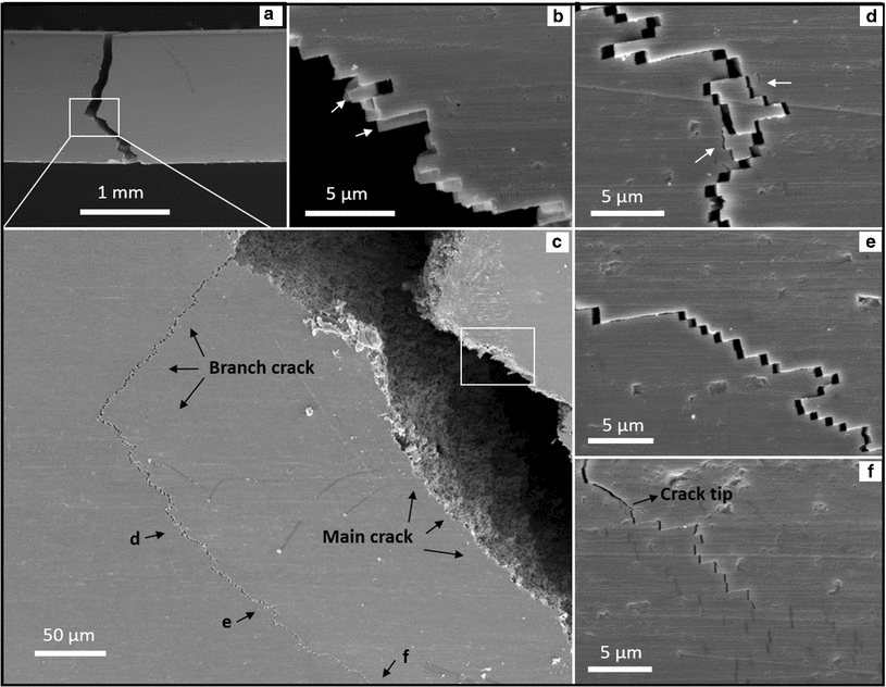 Crack deflection occurs by constrained microcracking in nacre