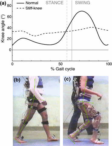How Crouch Gait Can Dynamically Induce Stiff Knee Gait