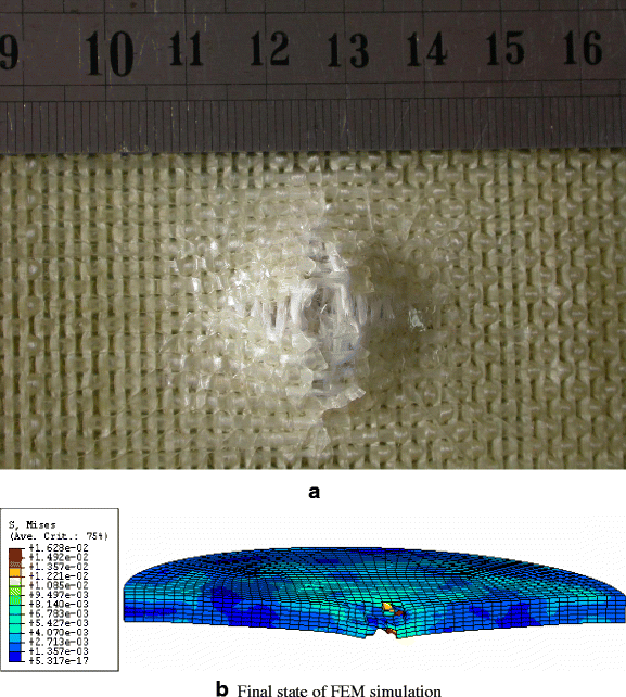 Impact Damage of 3D Orthogonal Woven Composite Circular Plates
