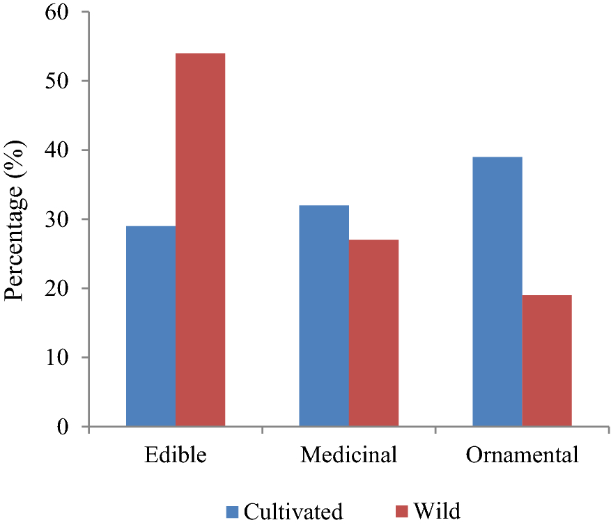 Structure Diversity And Utilization Of Plant Species In Tribal
