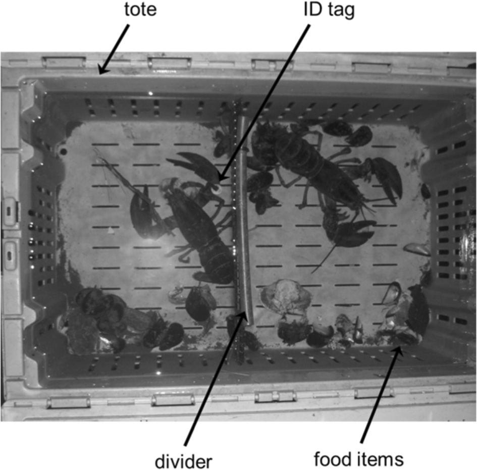 bait subsidized diets and