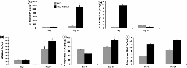 properties of cartilage tissue Biofabricated soft network composites for cartilage tissue engineering complex mechanical properties of the tissue including viscoelasticity. properties of cartilage tissue Biofabricated soft network composites for cartilage tissue engineering complex mechanical properties of the tissue including viscoelasticity.