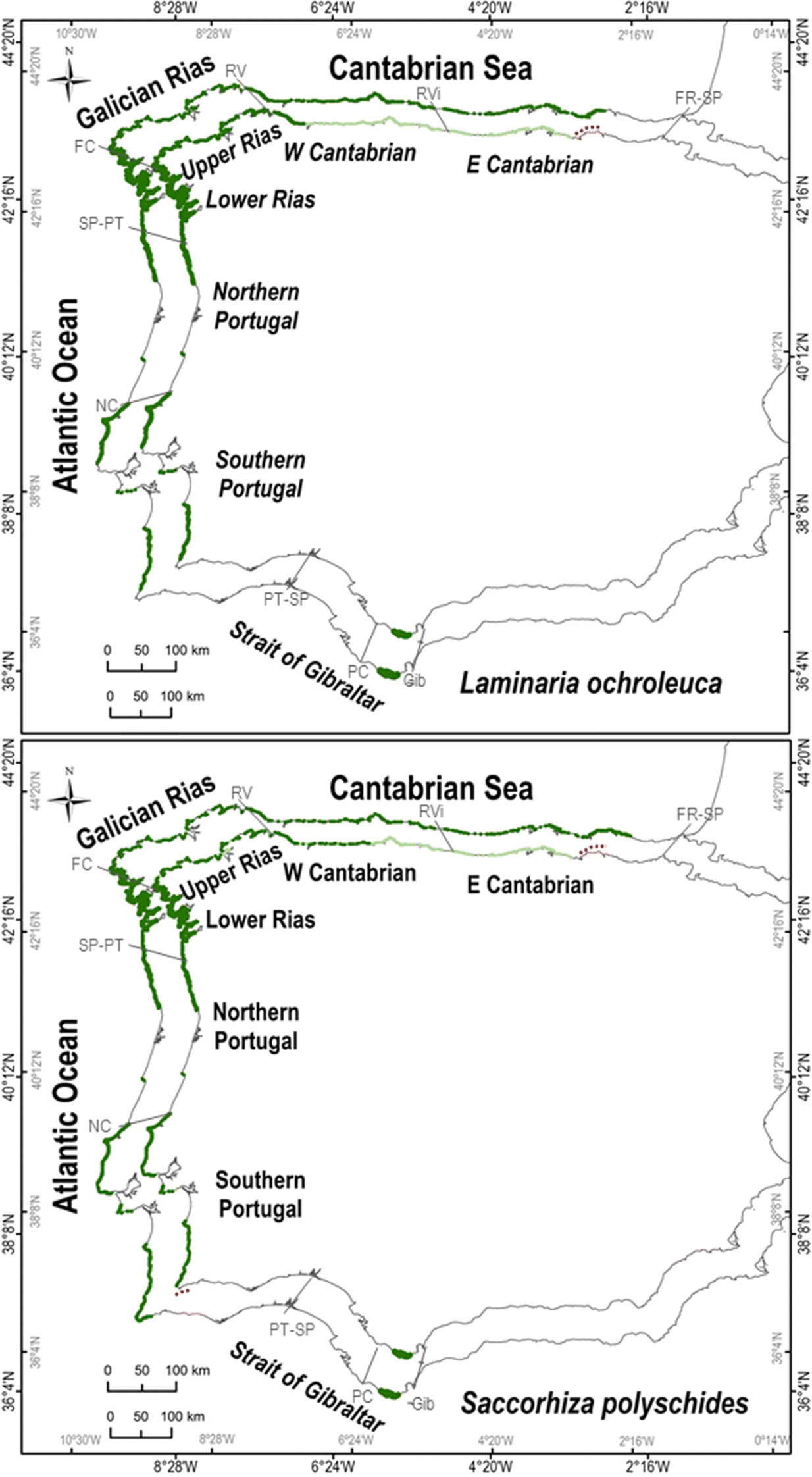Distributional Shifts Of Canopy Forming Seaweeds From The - 