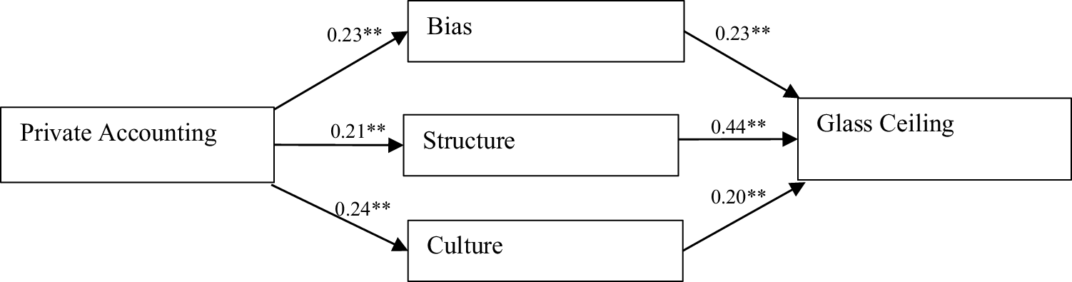 Glass Ceiling Examples In Business