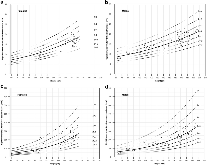 Normal pulmonary artery and branch pulmonary artery sizes in children