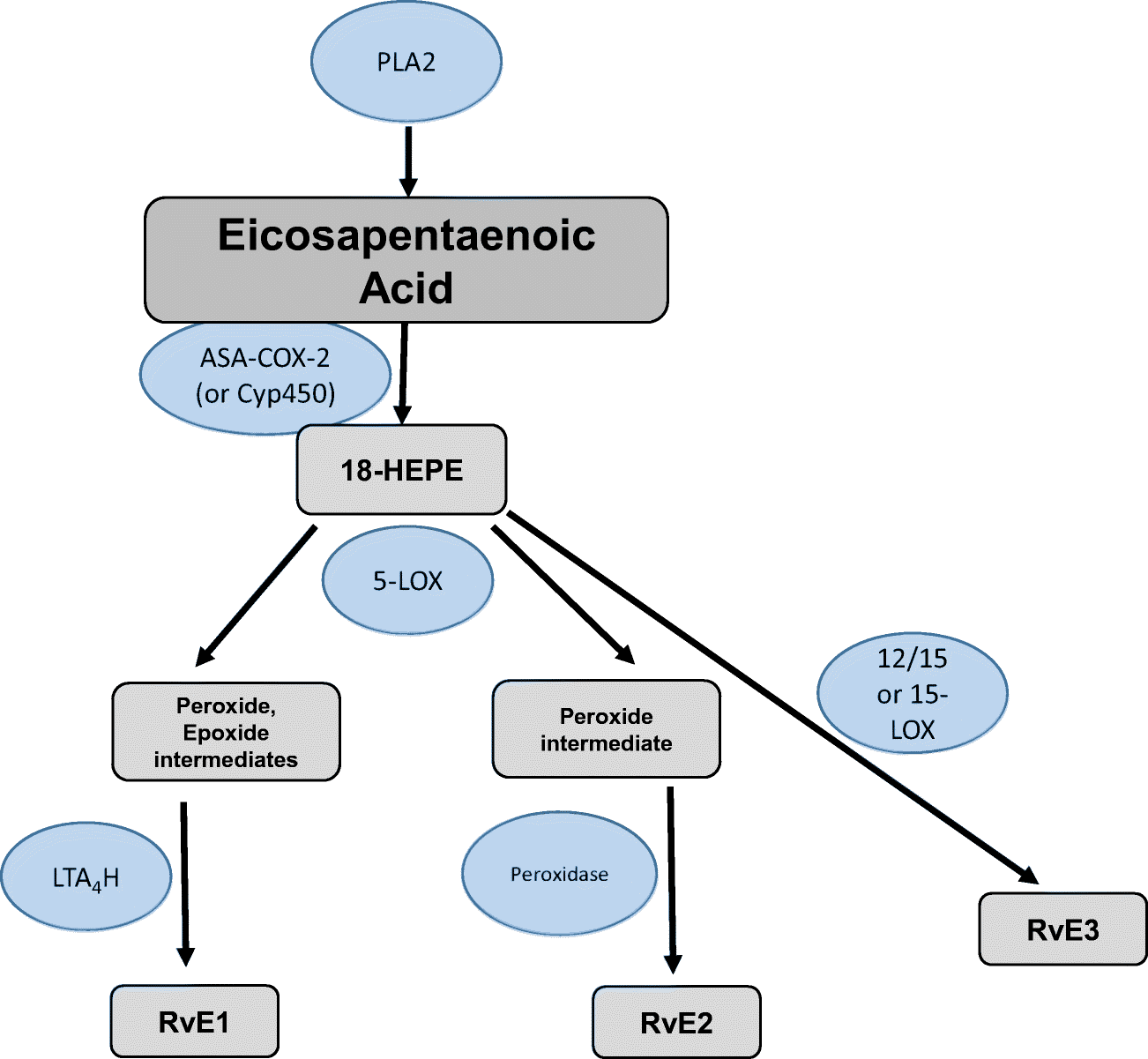 Asa Alt Org Chart 2018