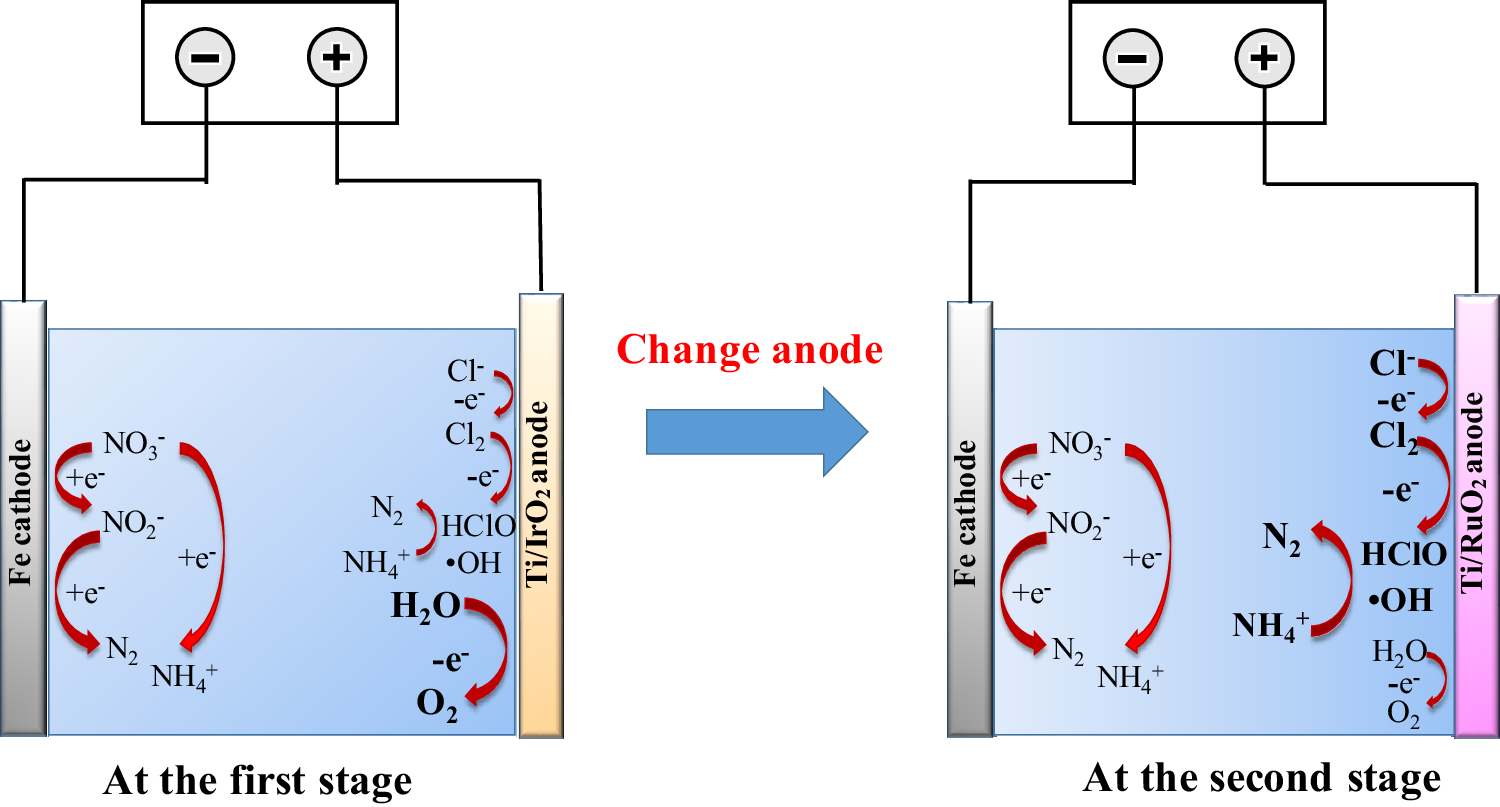 Efficient Electrochemical Reduction of High Concentration Nitrate by a