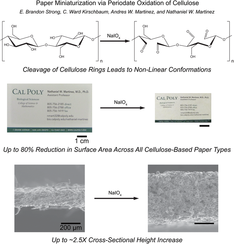 Paper Miniaturization Via Periodate Oxidation Of Cellulose