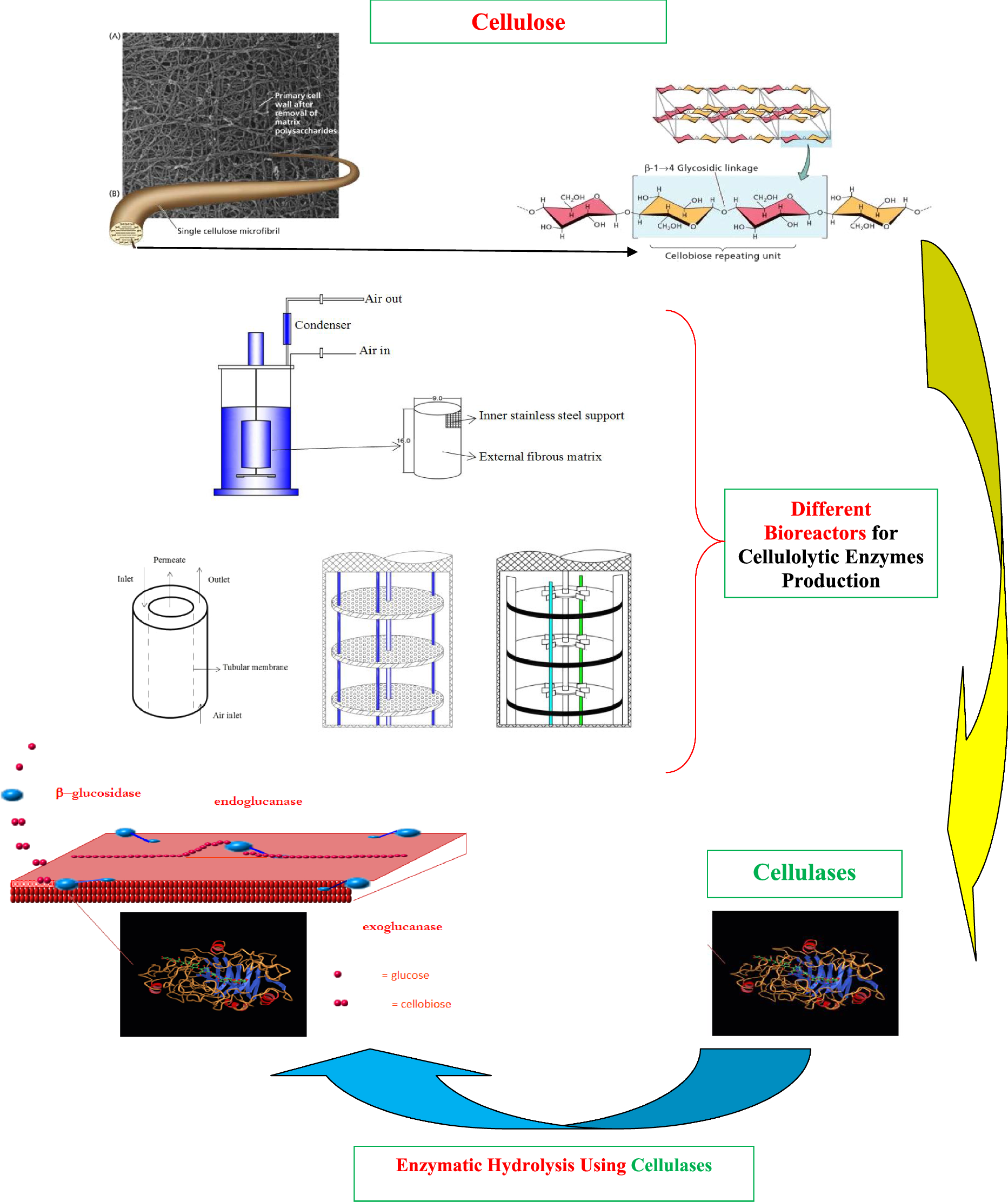 A Review Of Bioreactor Technology Used For Enzymatic - 
