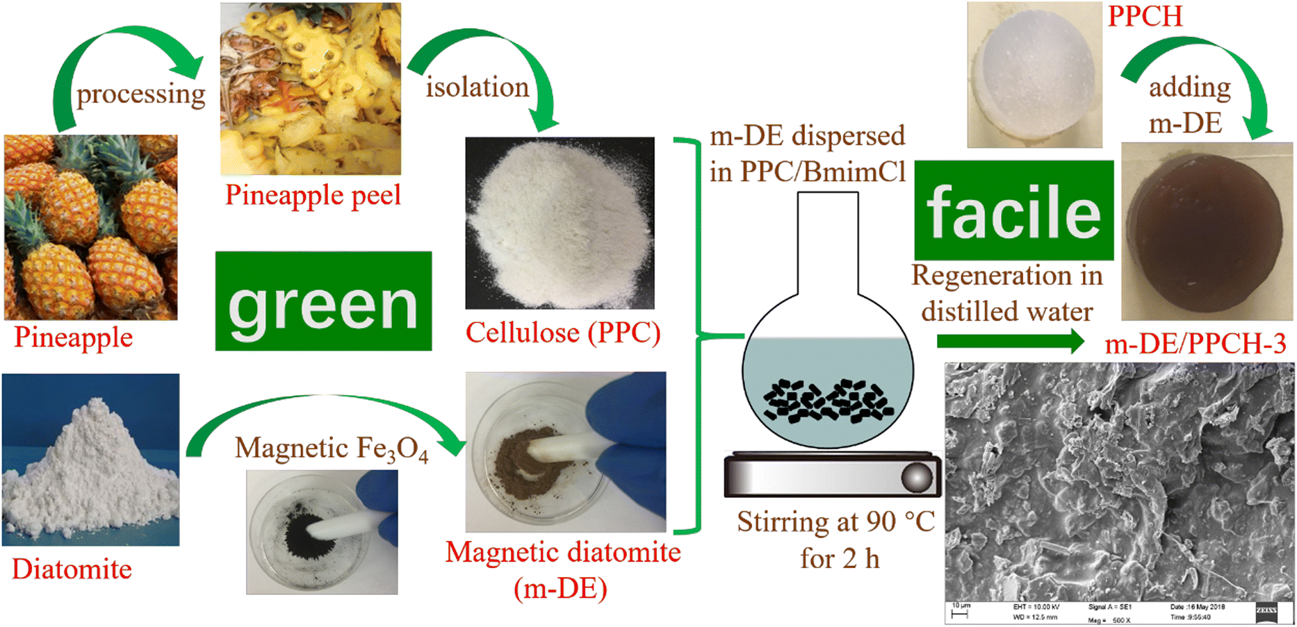 Green And Facile Fabrication Of Pineapple Peel Cellulose Magnetic