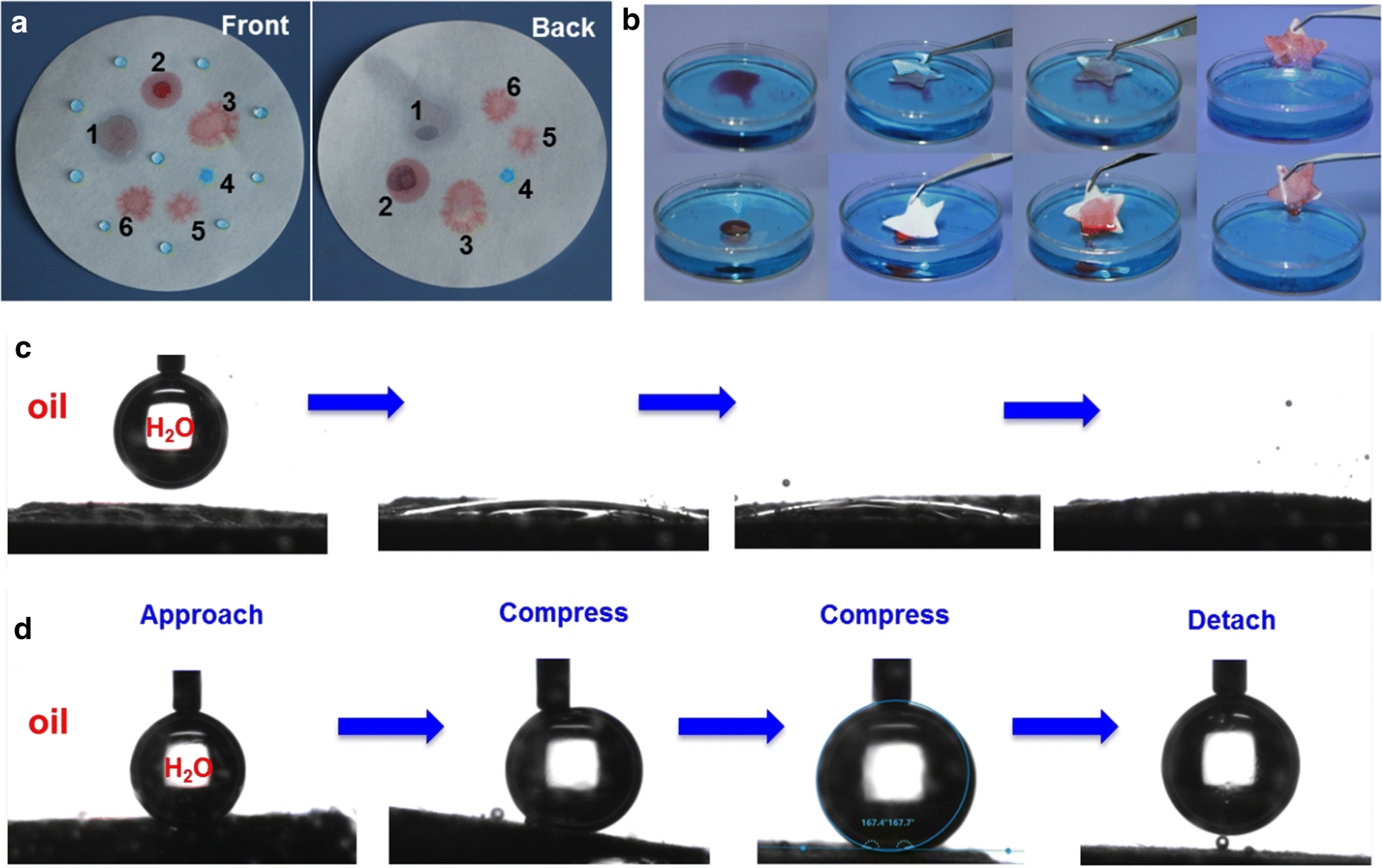 Fabrication Of Hydrophobic Cellulosic Materials Via Gas