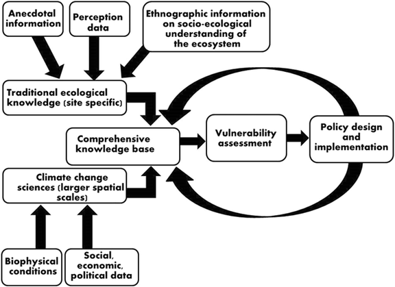 comparing contrasting essay