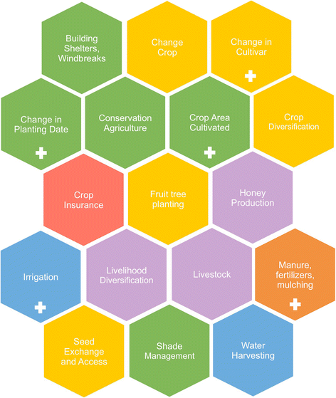 Crop Modelling Towards Locally Relevant And Climate - 