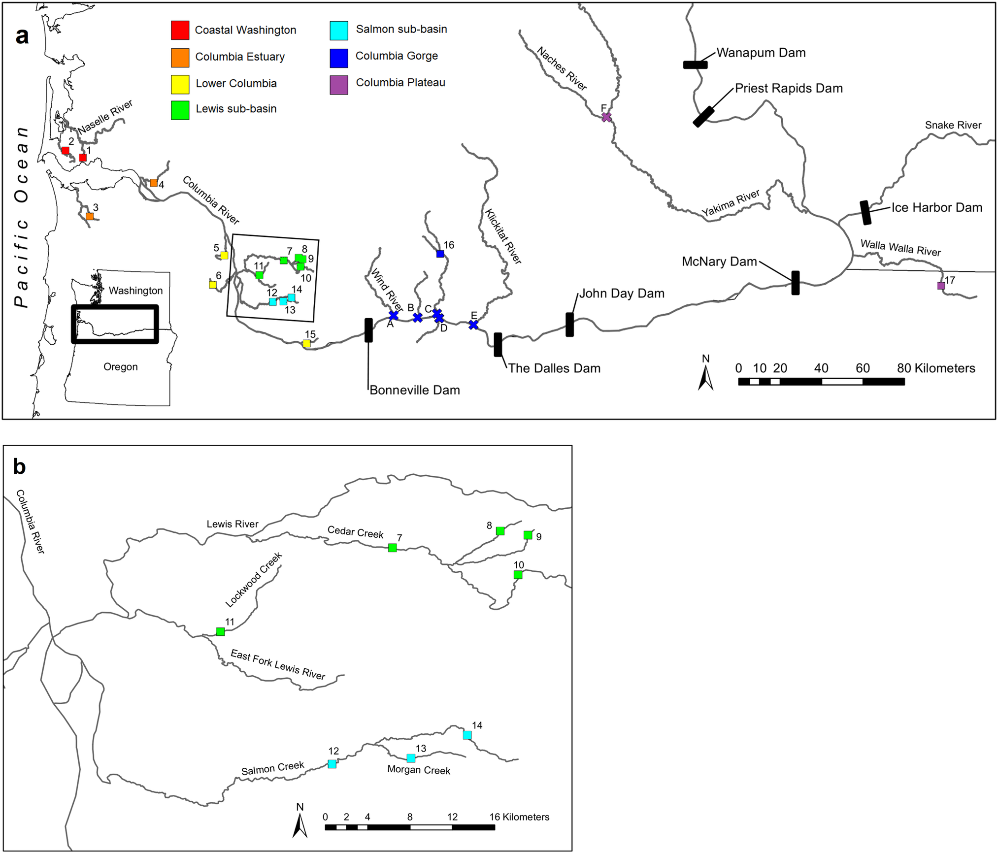 Contemporary And Historical River Connectivity Influence - 