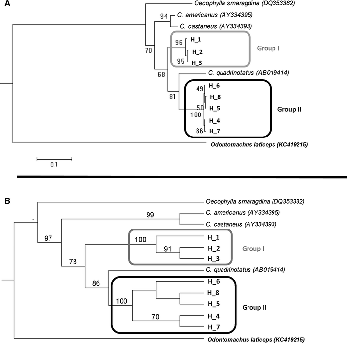 cytochrome c oxidase i dna sequence of camponotus ants with da form 5692 r