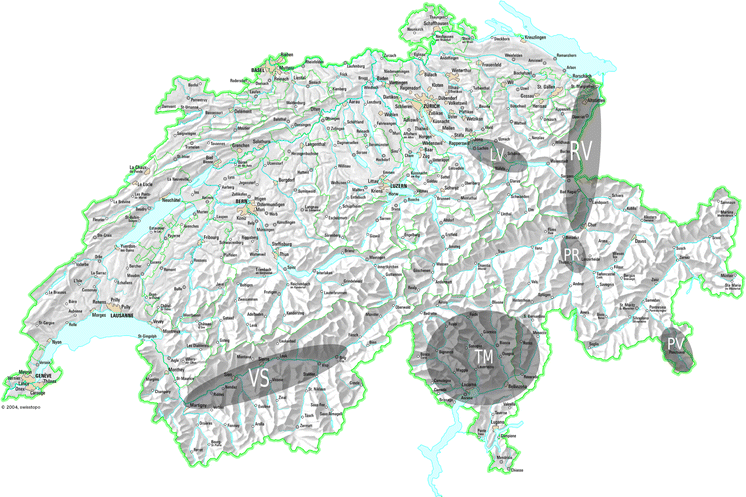 Saatmais Badischer Gelber Portion