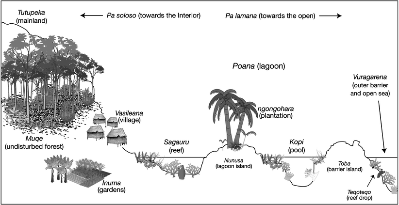 Lagoon Ecology And Social Strategies Habitat Diversity Open Image In New Window