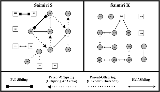 example genodive input example genodive input
