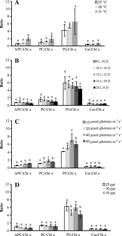 developmental and physiological properties of pyropia dentata open image in new window