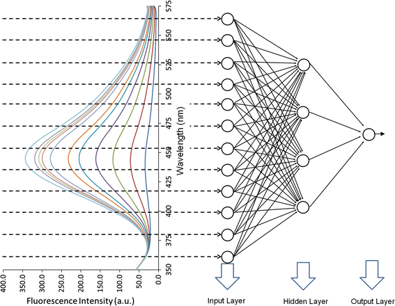 Spectrofluorometry Study Of β Cyclodextrin And N Phenyl 1 - 