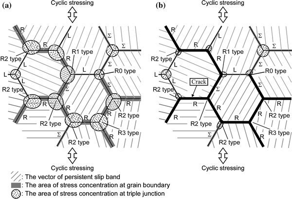 Effects of grain boundary- and triple junction-character on ...