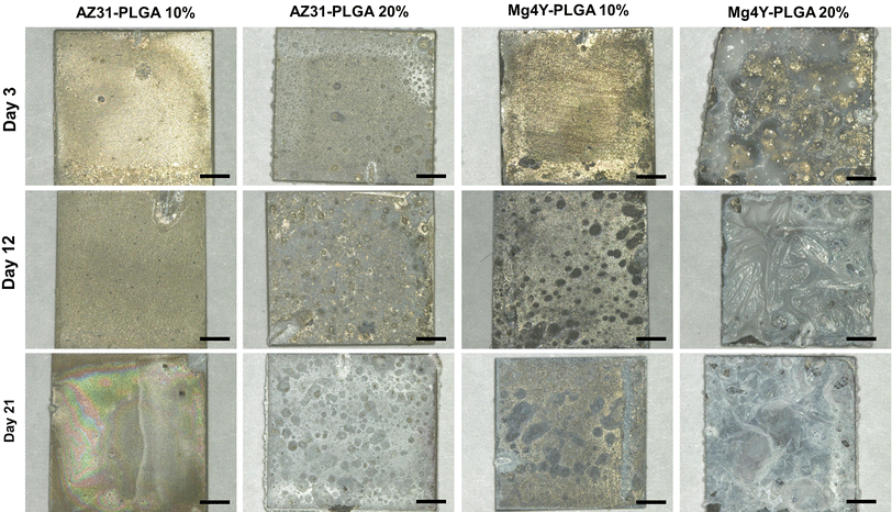 Biodegradable Poly Lactide Co Glycolide Coatings On Magnesium Open Image In New Window